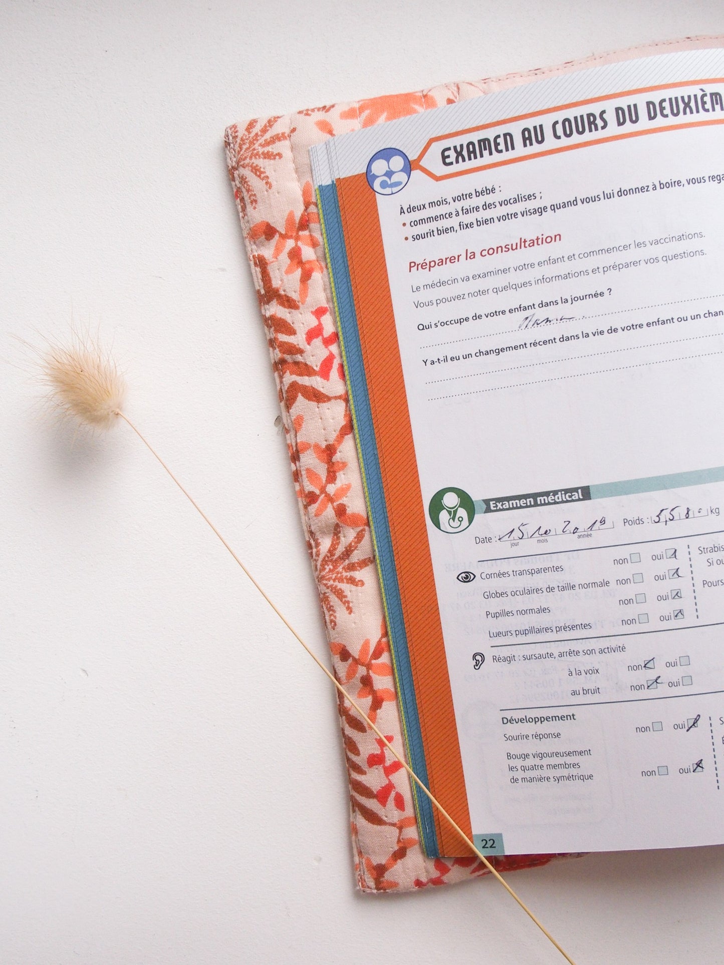 Protège carnet de santé - Avani Griotte