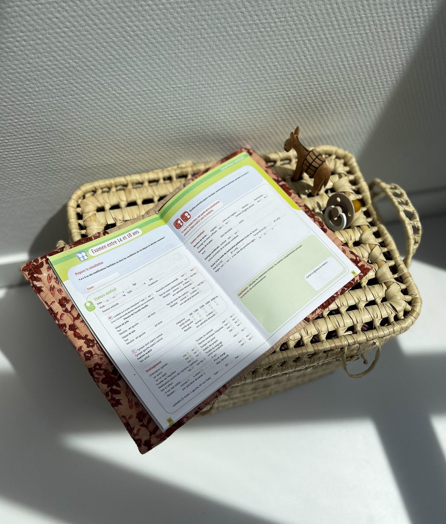 Protège carnet de santé - Isha Cerise