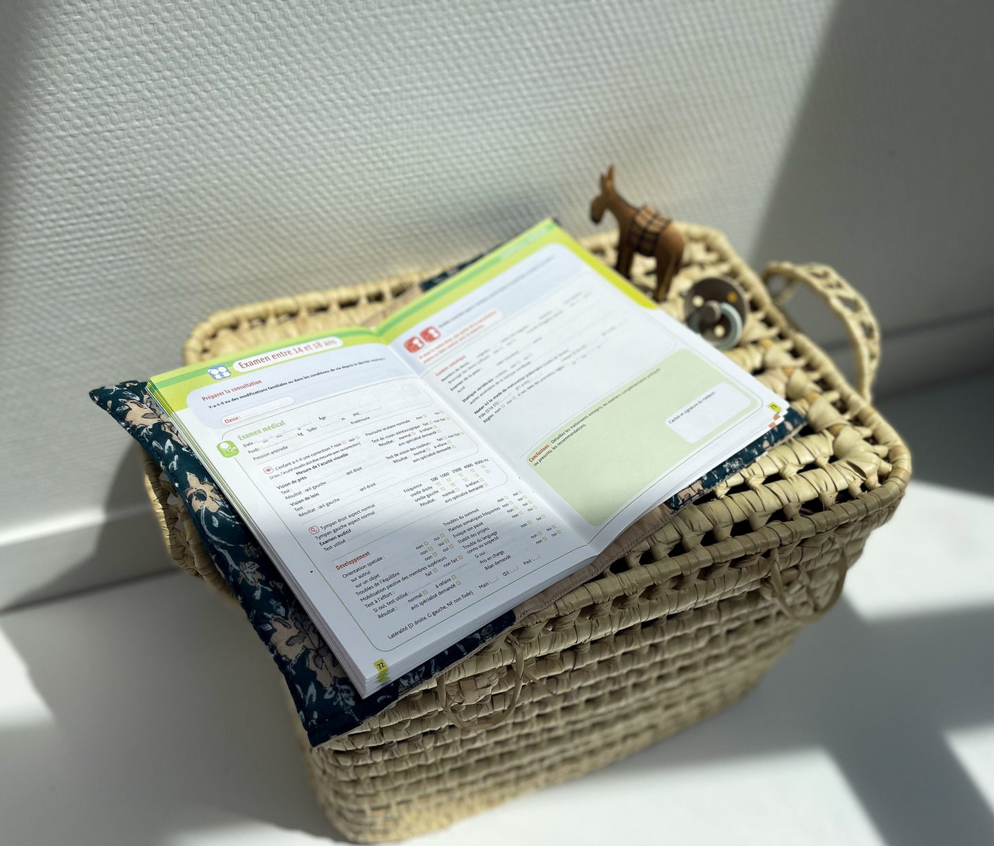 Protège carnet de santé - Isha Lagon