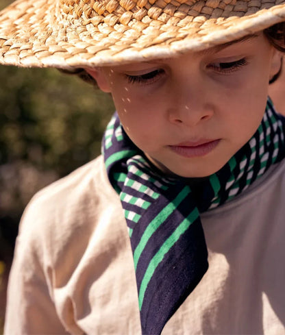 Petit foulard Tara Fougère